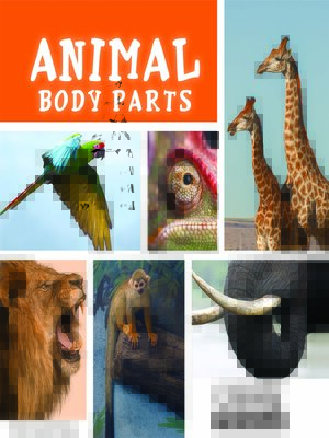 cover image of Animal Body Parts